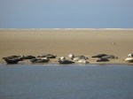2016_09_11_15_56_16_Johannes_IMG_0059.jpg