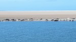 2016_09_11_15_36_55_Reini_20160911_153655.JPG